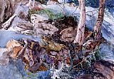 Rocks Canvas Paintings - Study of the Rocks and Ferns, Crossmouth